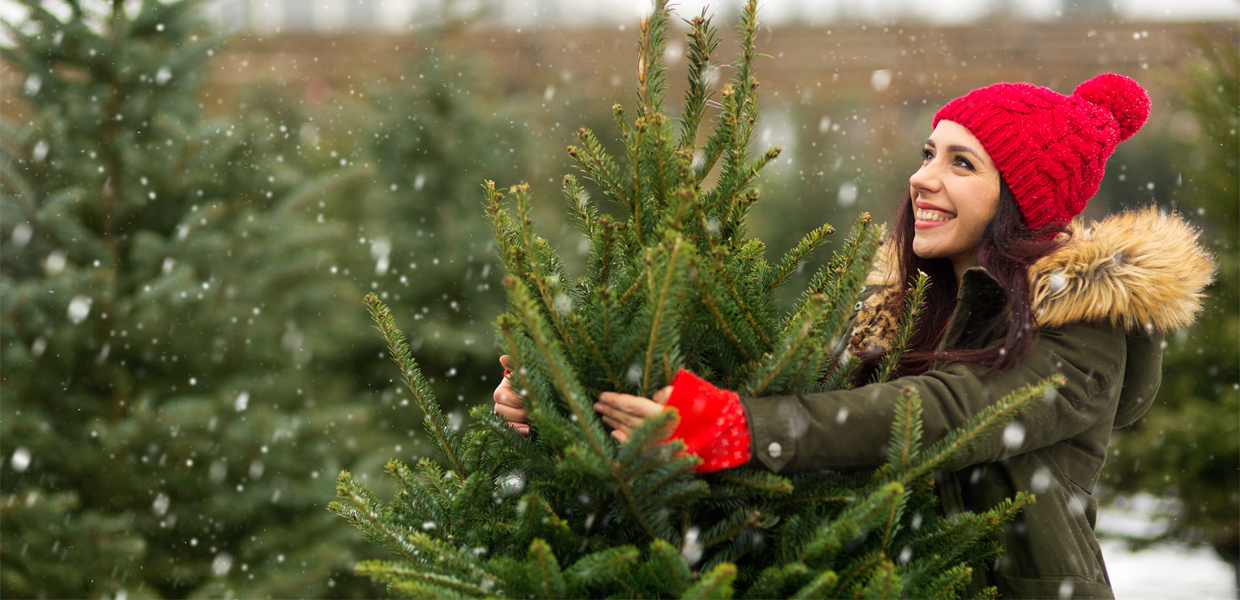 Slider Weihnachtsbaumverkauf